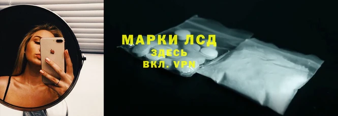 spice Лиски