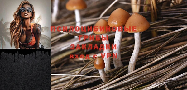 таблы Ладушкин
