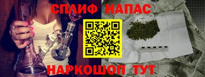 Альфа ПВП Новозыбков