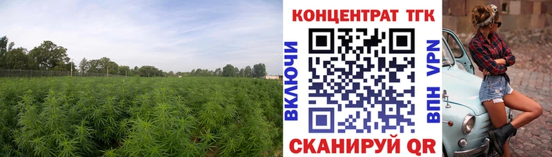 ТГК жижа  Фурманов 