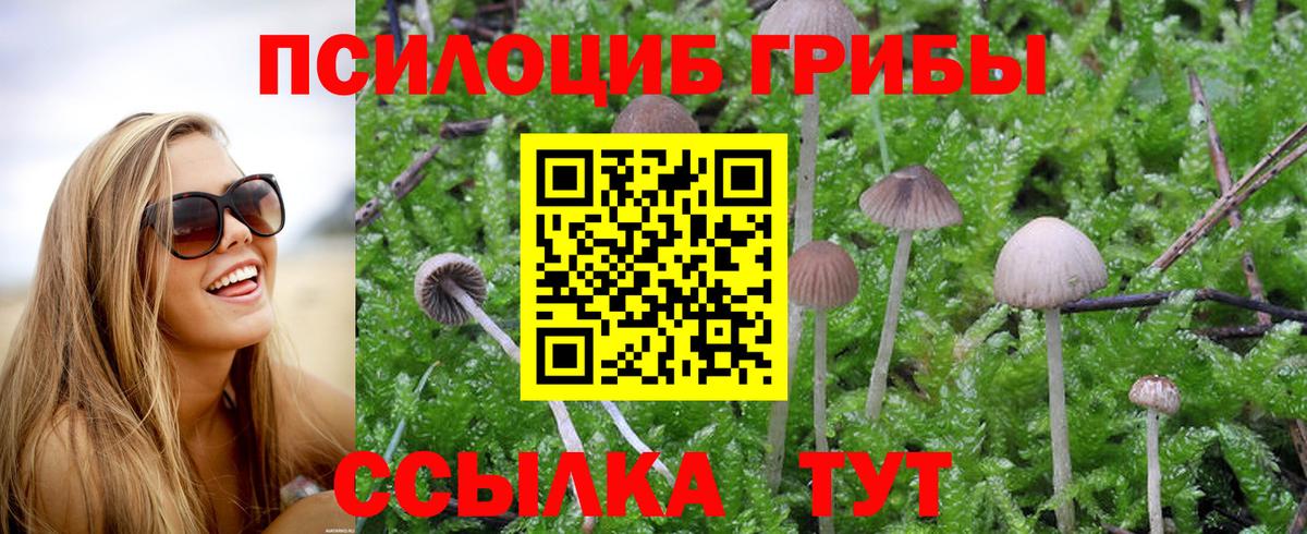 Псилоцибиновые грибы Cubensis  Фурманов 