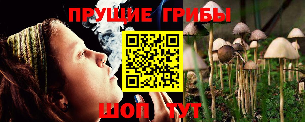 Фурманов  Псилоцибиновые грибы Psilocybe  дарнет шоп  Вход с VPN 